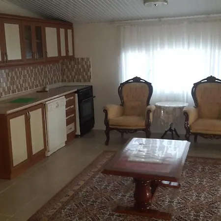Apart Sadi Hoca * Erikli (Edirne)